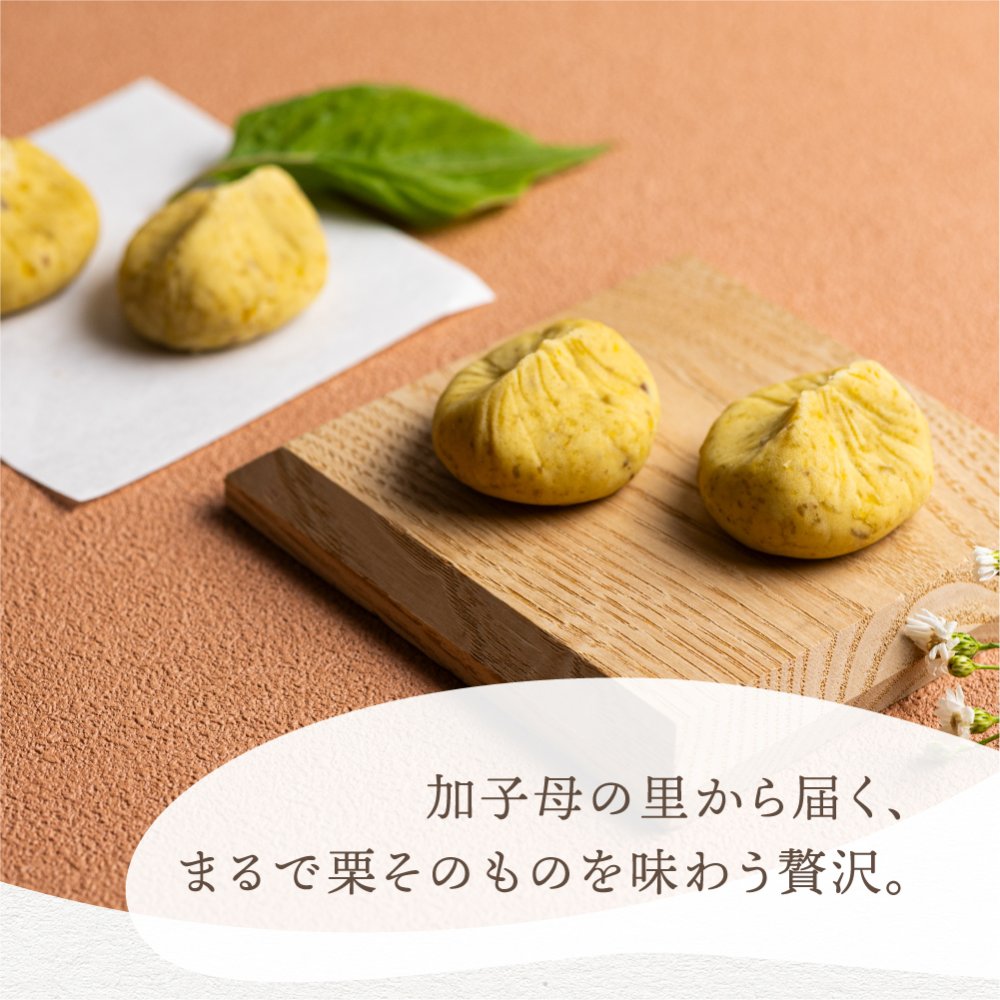 《～27年2月末まで発送》栗きんとん 6個/10個 仁太郎 2026 プチ 和菓子 お菓子 栗 スイーツ 個包装 栗菓子 和スイーツ マロン 和風スイーツ 栗スイーツ 和栗 お取り寄せ 内祝い お祝い 中津川市 産地直送 送料無料 ギフト 敬老の日 岐阜 ぎふまる