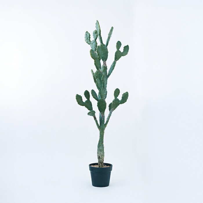 観葉植物 造花 ライベリー BROWN 全高約105cm 中型 フェイクグリーン 本物そっくり おしゃれ インテリア 人工観葉植物 アーティフィシャルグリーン オフィス 店舗 ホテル 開店祝い 室内 インテリアグリーン 枝もの フェイク