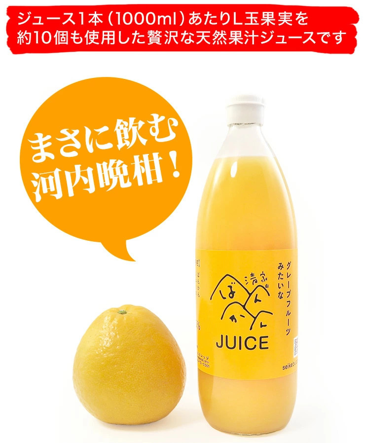河内晩柑ジュース 200ml ギフト箱 愛媛県産【贅沢な果汁100％】送料無料