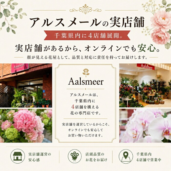 季節の寄植え 鉢 ガーデニング クリスマス ポインセチア シクラメン 花 鉢植え ギフト 秋 おしゃれ 誕生日 プレゼント 母 祖母 女性 お花 お誕生日 結婚祝い 新築祝い 友人 結婚記念日 妻 両親 開店祝い 開業祝い 退職祝い