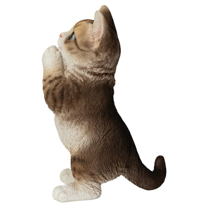 置物 猫 おねだり濃茶トラ白猫 高さ23cm woobia ウービア リアル かわいい おしゃれ 玄関 インテリア オブジェ ガーデン 茶トラ おねだり ねこ ネコ 動物 アニマル 癒し 棚 北欧 プレゼント ギフト 新築祝い 猫好き