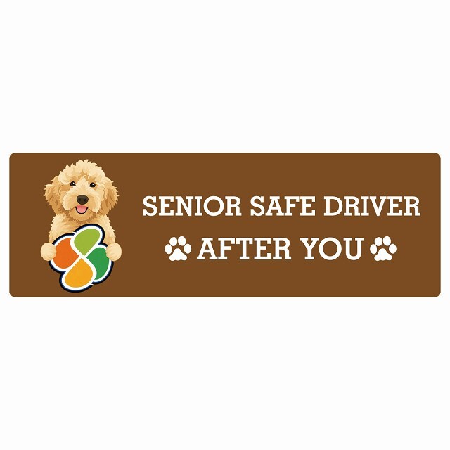 カーサイン 高齢者マーク SENIOR SAFE DRIVER オーストラリアンラブラドゥードル ステッカー シール 長方形 15x5cm 肉球 日本製 車