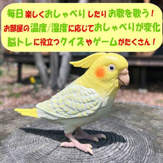 【送料無料・包装無料】タカラトミーアーツ もっとおしゃべり天才オカメインコちゃん / ギフト 父の日 母の日 敬老の日 シニアプレゼント 幼児玩具 おもちゃ 保育園 幼稚園 幼児おもちゃ 動物おもちゃ 動物玩具 男の子 女の子 セキセイインコ バーチャルペット 高齢者 音声認識 クリスマス クリスマスプレゼント インコの日