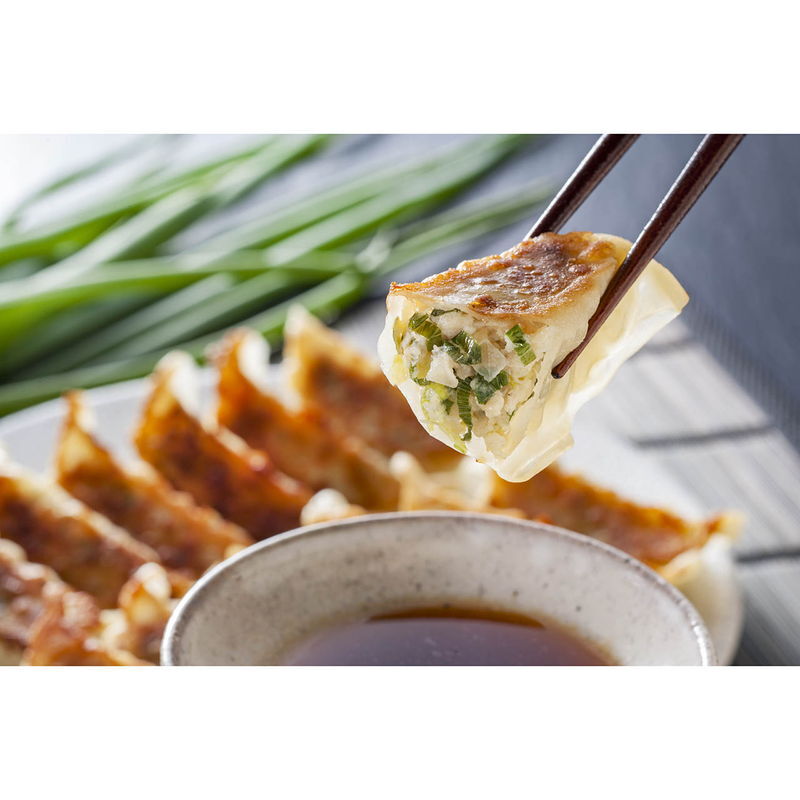 九条ねぎ餃子 (KF-NG) [お中元][お歳暮] ※送料無料(北海道・沖縄・離島への配送不可)