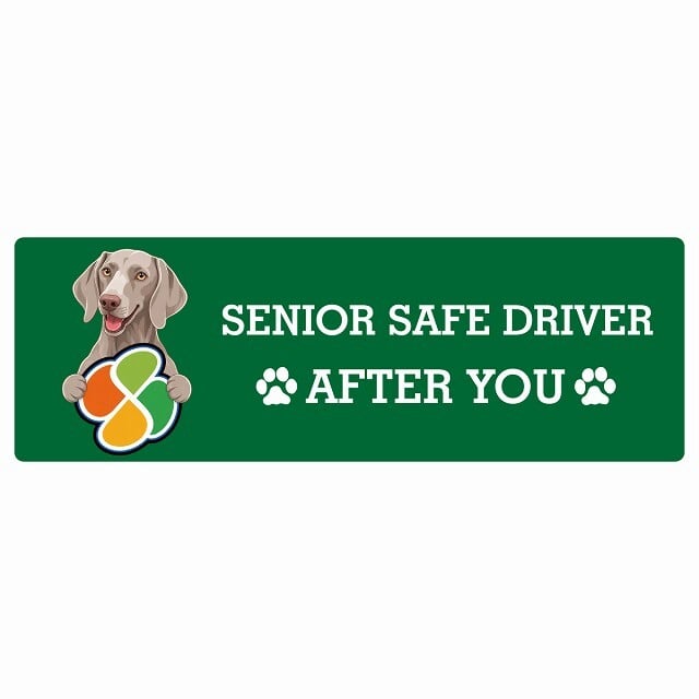 カーサイン 高齢者マーク SENIOR SAFE DRIVER ワイマラナー ステッカー シール 長方形 15x5cm 肉球 日本製 車