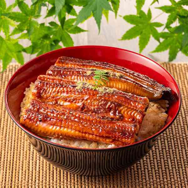 鹿児島県産 うなぎ 蒲焼 特大 200g 2尾 セット 国産 鰻 ウナギ 蒲焼き お取り寄せ グルメ ギフト プレゼント 食べ物 贅沢 冷凍 惣菜 魚介類 食品 父の日 母の日 敬老の日 土用の丑の日
