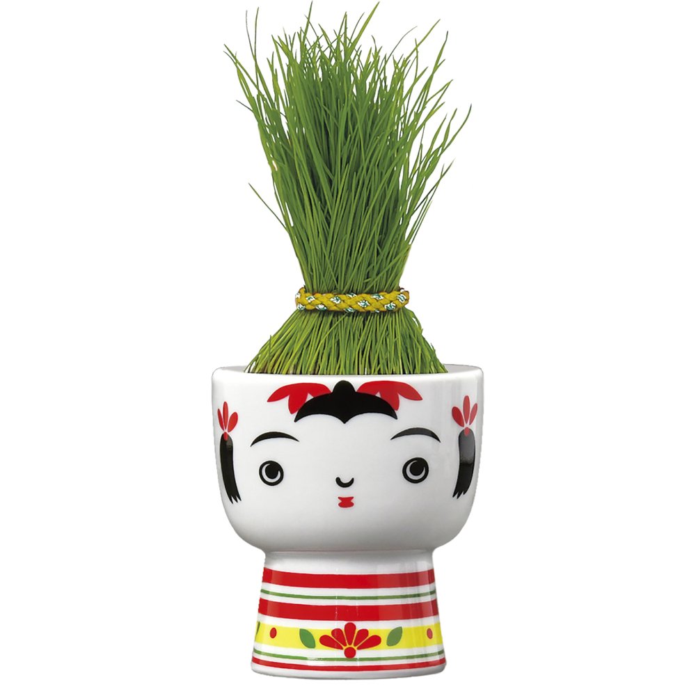芝って栽培キット KOKESHI（こけし） おかっぱ おちょぼ ぼうず 植物 グリーン 和風 スターターセット オブジェ 置物 おしゃれ インテリア 雑貨 ギフト プレゼント 男性 女性 誕生日 ラッピング対応 無料ラッピング