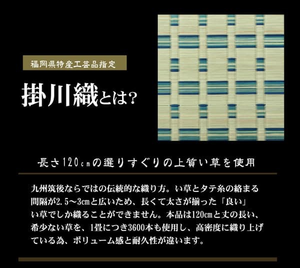 夏ラグ 夏用カーペット 掛川織 い草カーペット 『雲仙』 江戸間4.5畳(約261×261cm)