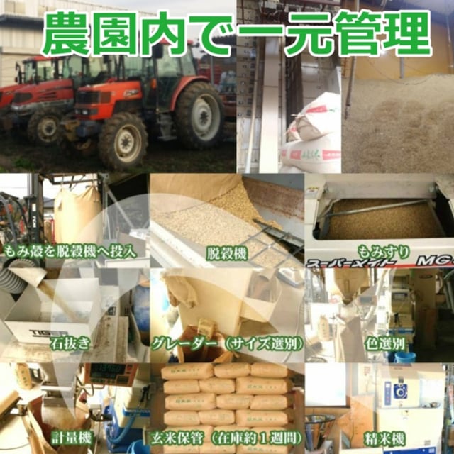 新米 ミルキークイーン お米 米 10kg 送料無料 無洗米 玄米 特別栽培 減農薬 化学肥料最小限 栃木産 2026年産 令和8年産 こめ コメ 産直 限定品 おとりよせ 取寄せ ギフト プレゼント 贈答用 ミルキークィーン 10キロ ご飯 ライス ランキング あす楽 送料込み お祝い 内祝