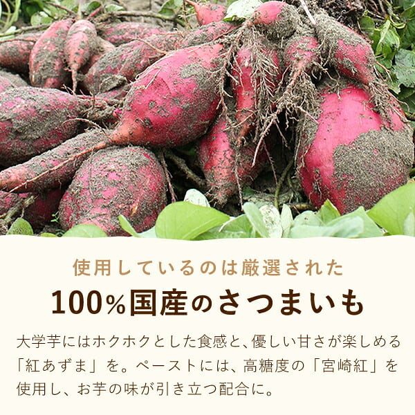 ＼早割！／ クリスマスケーキ クリスマスプレゼント 予約 2026 タルト モンブラン モンブランケーキ スイートポテト 大学芋 大学いも タルトケーキ Xmasケーキ 冷凍ケーキ お取り寄せ 5号 5人 6人 スイーツ お菓子 洋菓子 可愛い かわいい おしゃれ おいもや