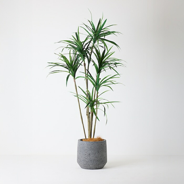 観葉植物 造花 ユッカ BROWN 全高約210cm 大型 フェイクグリーン 高級 本物そっくり リアル おしゃれ スタイリッシュ インテリア 人工観葉植物 アーティフィシャルグリーン モダン オフィス 店舗 ホテル 開店祝い 室内 リビング 玄関 風水 青年の木