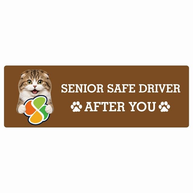 カーサイン 高齢者マーク SENIOR SAFE DRIVER ハイランドフォールド ステッカー シール 長方形 20x6.7cm 肉球 日本製 車