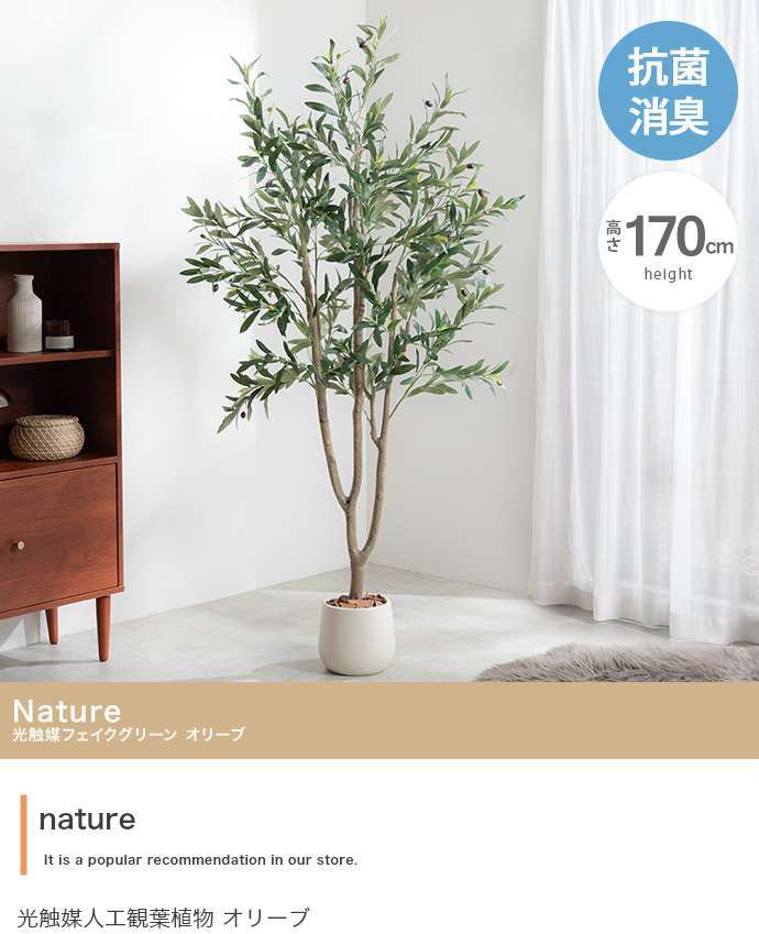【高さ170cm】光触媒人工観葉植物 オリーブ 幅70cm×奥行60cm×高さ170cm オフィス 天然木 ポリエステル 組立品 お部屋に気軽に飾れて空間を美しく彩るフェイクグリーン 本物の植物のようなリアルな質感とインテリアに馴染む風合いが魅力です