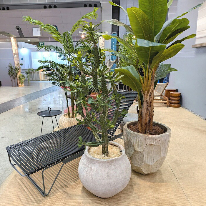 観葉植物 造花 ユーフォルビア BROWN 全高約147cm 大型 フェイクグリーン 本物そっくり おしゃれ インテリア 人工観葉植物 アーティフィシャルグリーン オフィス 店舗 ホテル 開店祝い 室内 多肉植物 フェイク