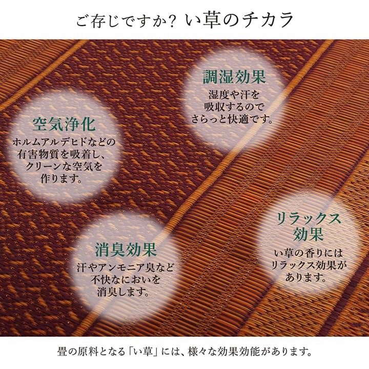 廊下 敷 敷き 国産 純国産 日本製 い草 抗菌防臭 モダン 自然素材 不織布 約80×440cm