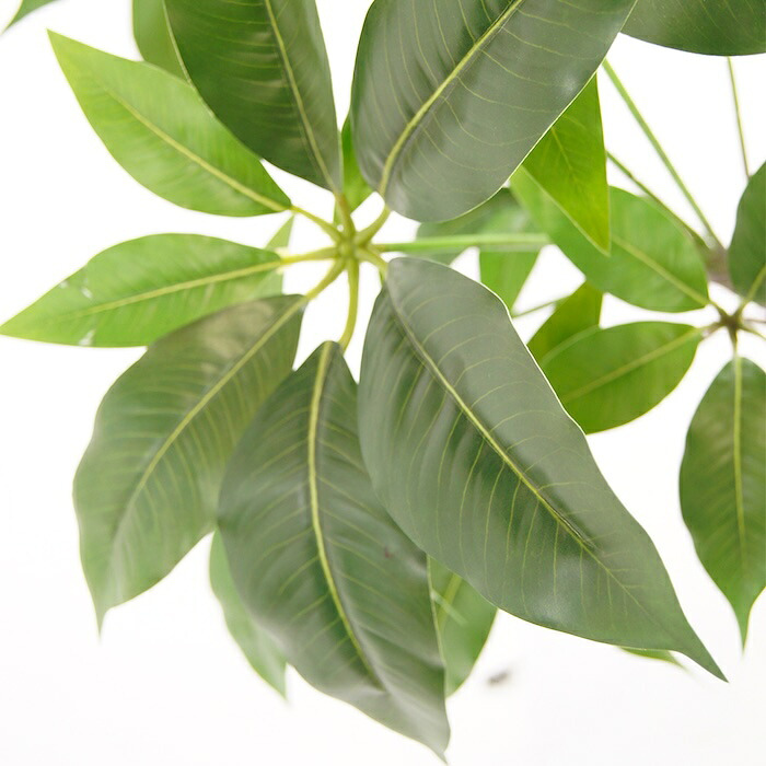 観葉植物 造花 ツピタンサス BROWN 全高約150cm 大型 フェイクグリーン 本物そっくり おしゃれ インテリア 人工観葉植物 アーティフィシャルグリーン オフィス 店舗 ホテル 開店祝い 室内 シェフレラ フェイク ツピダンサス