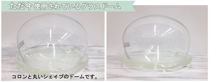 【最後の1点】【プリザーブドフラワー】はんなり美人・ガラスドーム　京都の和菓子を思い出す　はんなりとした色合い薔薇　ほこりが付かない ギフト 誕生日　記念日 サプライズ　送料無料
