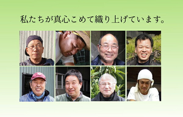 純国産 い草のシーツ（寝ござ） 『新大目舞子』 シングル約88×180cm