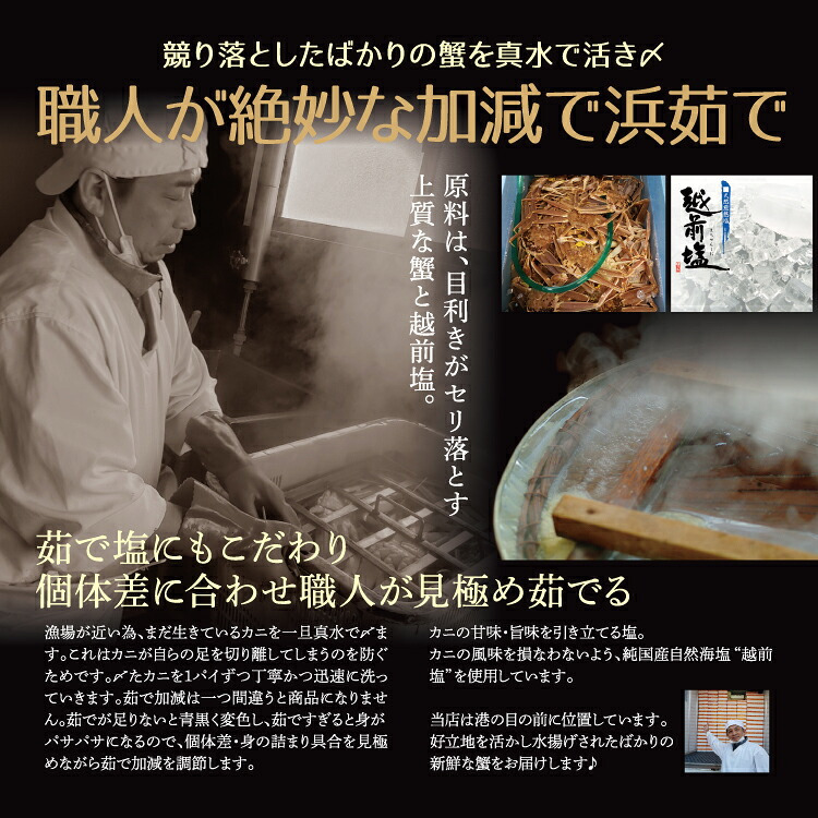 せいこ蟹 甲羅盛り 【数量限定】 越前がに 海鮮 詰め合わせ 福井県産 【冷凍便】美味しい贈物 お歳暮 ギフト