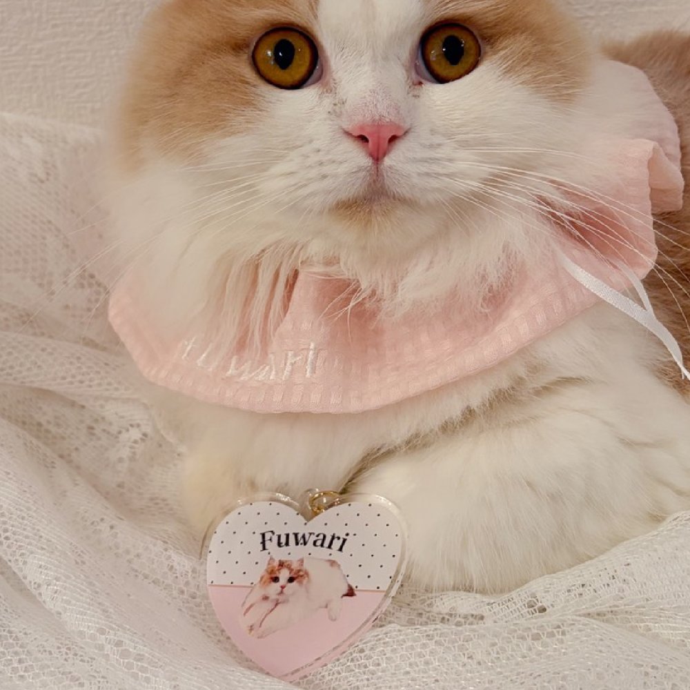 【toutouPINK】うちの子グッズ・ペットのお写真で作るハートキーホルダー | お誕生日 母の日 父の日 敬老の日 還暦祝い クリスマスプレゼント