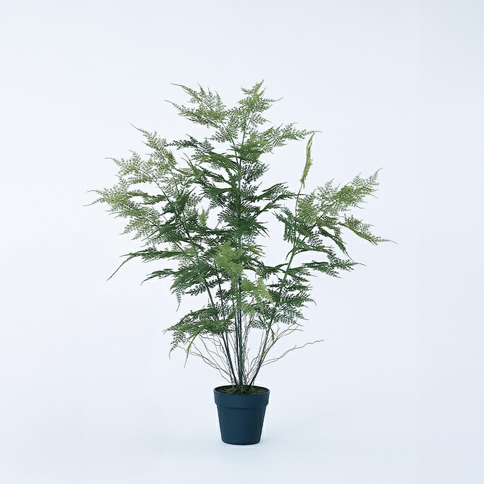 観葉植物 造花 アスパラガス BROWN 全高約90cm 中型 フェイクグリーン 本物そっくり おしゃれ インテリア 人工観葉植物 アーティフィシャルグリーン オフィス 店舗 ホテル 開店祝い 室内 アスパラガスファーン シダ フェイク