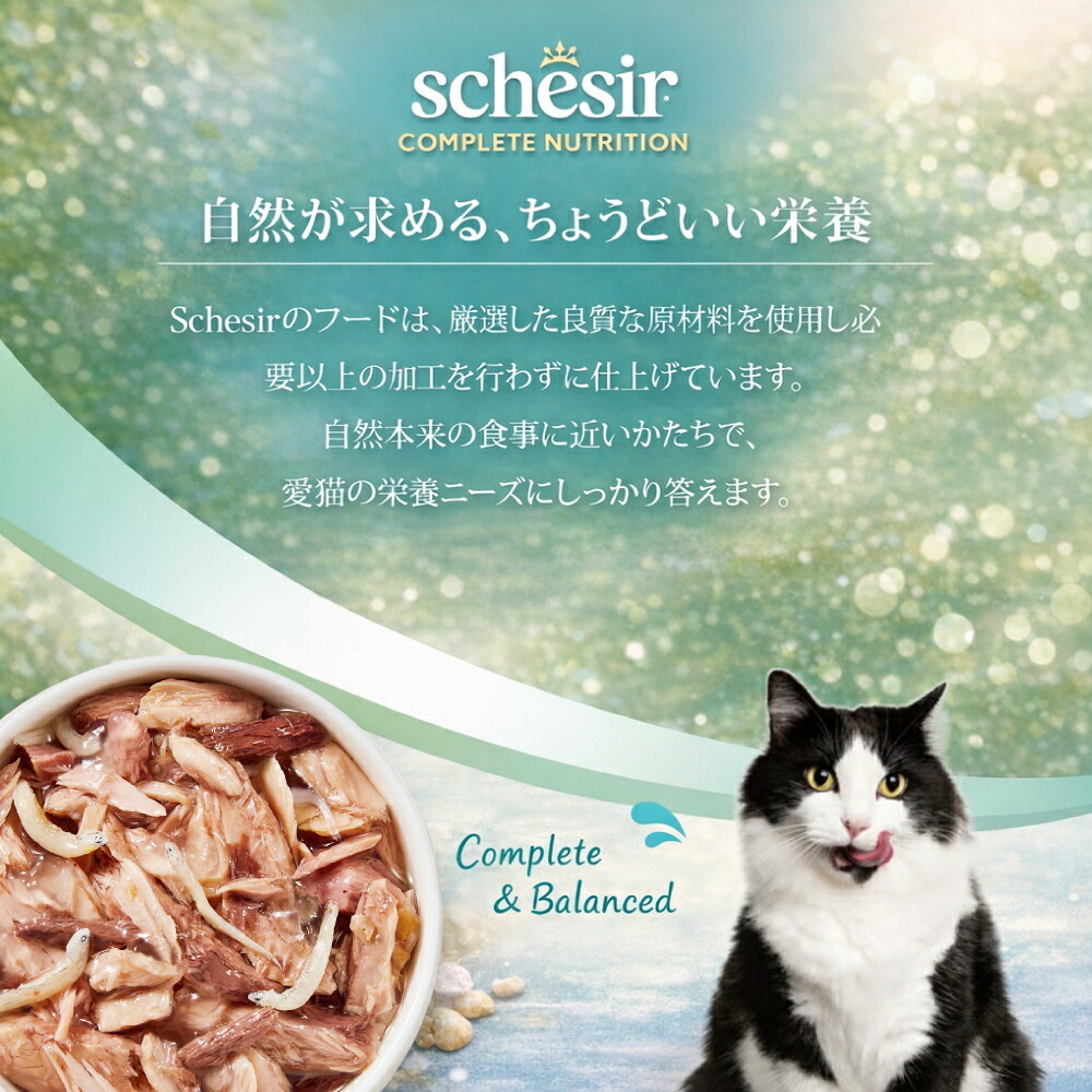 Schesir シシア パウチ ツナwithシラス キャットフード 85g×12個
