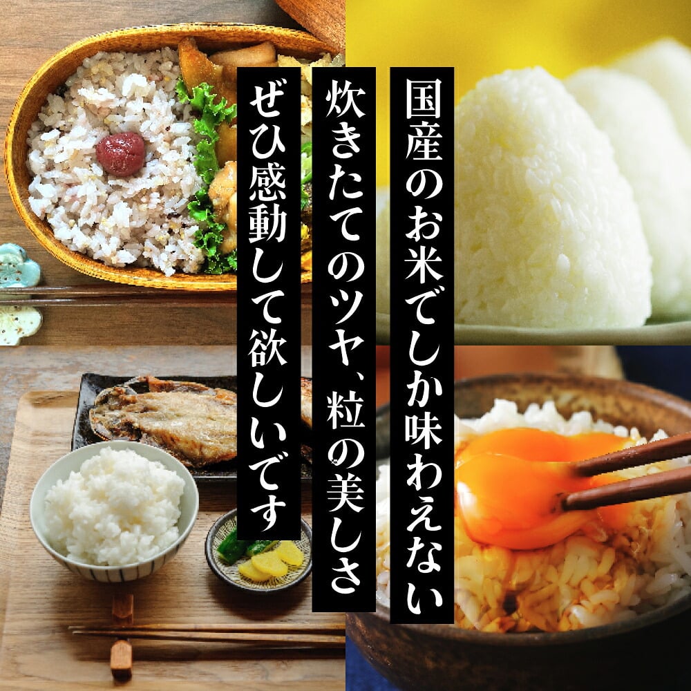 三重県産 コシヒカリ【内容量が選べる10kg~30kg】こしひかり 令和8年産 単一原料米 白米 精米 精白米 送料無料 精米工場からの直送品