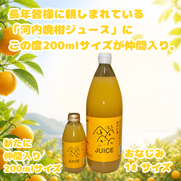 河内晩柑ジュース 200ml ギフト箱 愛媛県産【贅沢な果汁100％】送料無料