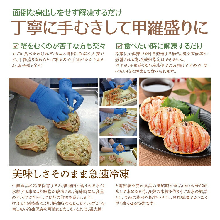 せいこ蟹 甲羅盛り 【数量限定】 越前がに 海鮮 詰め合わせ 福井県産 【冷凍便】美味しい贈物 お歳暮 ギフト