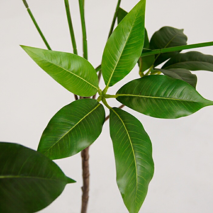 観葉植物 造花 ツピタンサス BROWN 全高約150cm 大型 フェイクグリーン 本物そっくり おしゃれ インテリア 人工観葉植物 アーティフィシャルグリーン オフィス 店舗 ホテル 開店祝い 室内 シェフレラ フェイク ツピダンサス