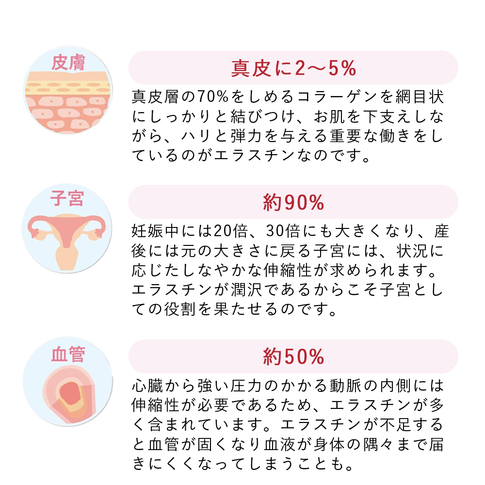 【パッケージリニューアル 2026年4月】季令（KIREI） エラスチンカプセル 100粒 高純度エラスチン 100％天然由来 コラーゲン エラスチン ヒアルロン酸 エイジングケア スキンケア キレイ 無着色 合成保存料・香料不使用 ACTLAND