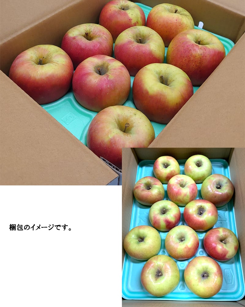 長野県産りんご ぐんま名月 秀品 ご贈答 果物 フルーツ お取り寄せ 産地直送 【送料無料(一部地域除く)】