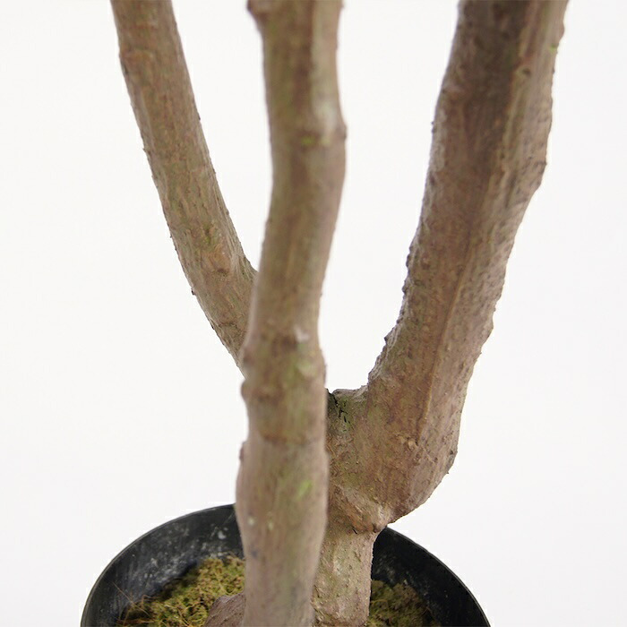 観葉植物 造花 ツピタンサス BROWN 全高約210cm 大型 3本立ち フェイクグリーン 高級 本物そっくり リアル おしゃれ インテリア 人工観葉植物 アーティフィシャルグリーン オフィス 店舗 ホテル 開店祝い 室内 リビング 玄関 風水 ツピダンサス