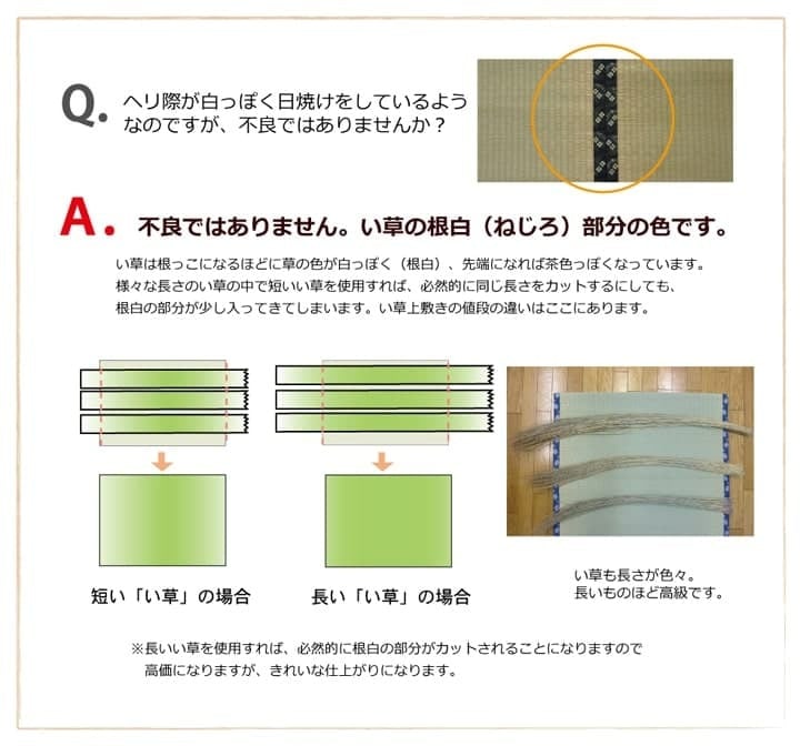 夏ラグ 夏用カーペット 純国産 い草 上敷き カーペット 糸引織 『湯沢』 六一間8畳(約370×370cm）