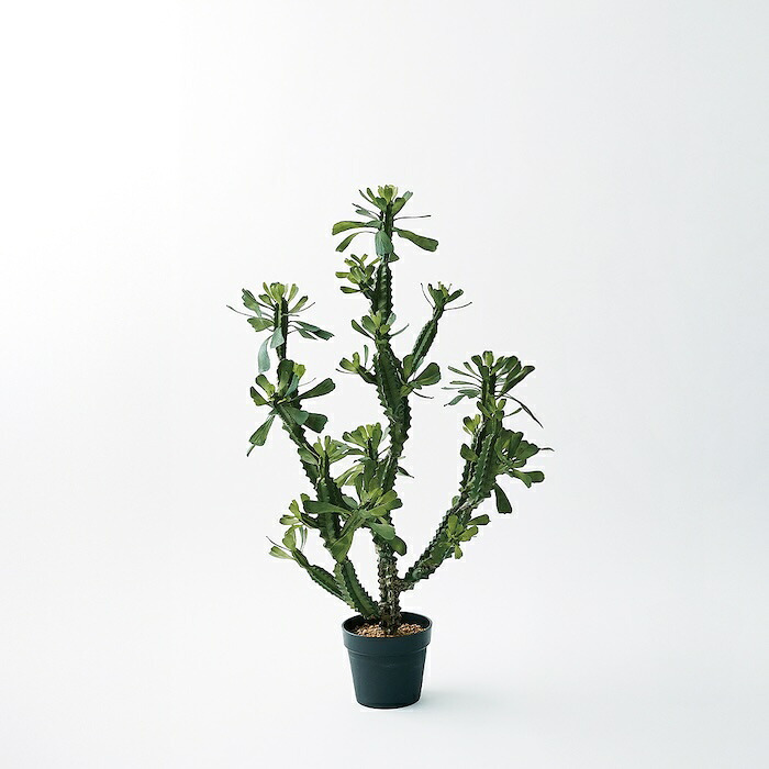 観葉植物 造花 ユーフォルビア BROWN 全高約112cm 中型 フェイクグリーン 本物そっくり おしゃれ インテリア 人工観葉植物 アーティフィシャルグリーン オフィス 店舗 ホテル 開店祝い 室内 多肉植物 フェイク