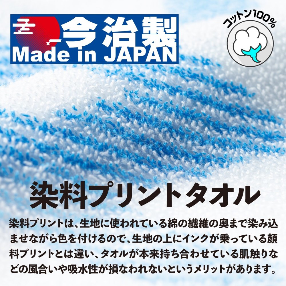 フェイスタオル ミズノ ミズノプロ ネーム刺繍入 今治製タオル 12jydx69 卒団祝 プレゼント 名入れ 卒団記念品 野球 ブラック ネイビー 黒 紺 箱入り