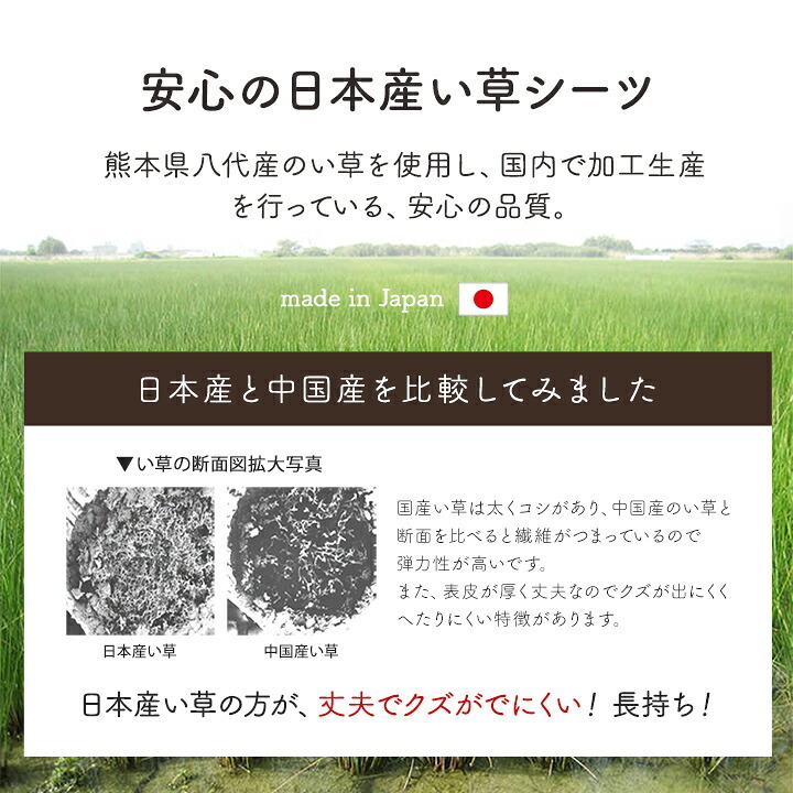 シーツ い草 吸湿 調湿効果 抗菌防臭 88×180cm