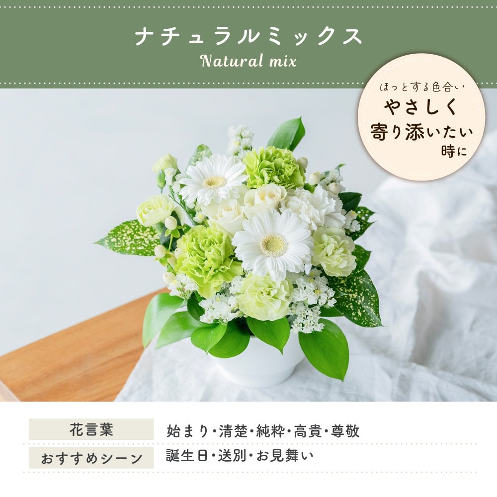 カラフルガーデン アレンジメントS  生花 花市場から直送 お祝い 誕生日 記念日