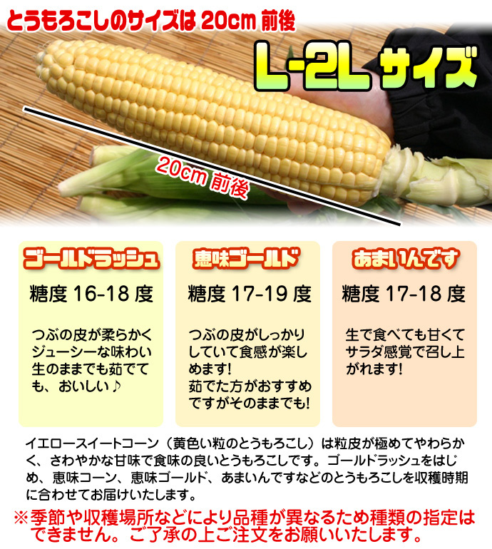 イエロースイートコーン 北海道 とうもろこし 8本入 送料無料 ※沖縄は送料別途加算