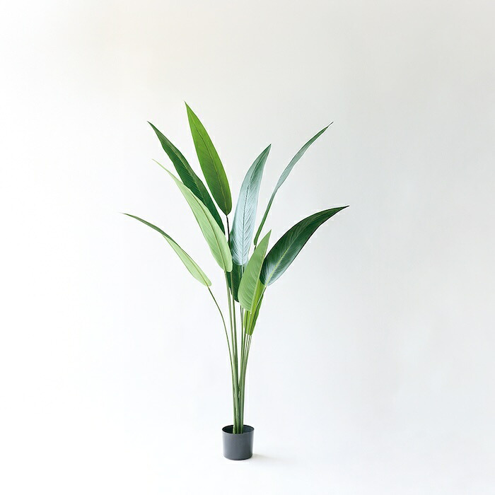 観葉植物 造花 カンナ BROWN 全高約165cm 大型 スリム フェイクグリーン 高級 本物そっくり リアル おしゃれ インテリア 人工観葉植物 アーティフィシャルグリーン 南国 オフィス 店舗 ホテル 開店祝い 室内 リビング 玄関 寝室 風水 フェイク