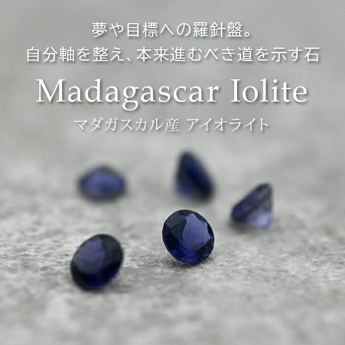 ピアス 金属アレルギー対応 アイオライト 5mm 宝石質 サージカルステンレス つけっぱなし セカンドピアス 品質保証書 ギフト 3月 9月 誕生石 青 紫 天然石 レディース メンズ 片耳用