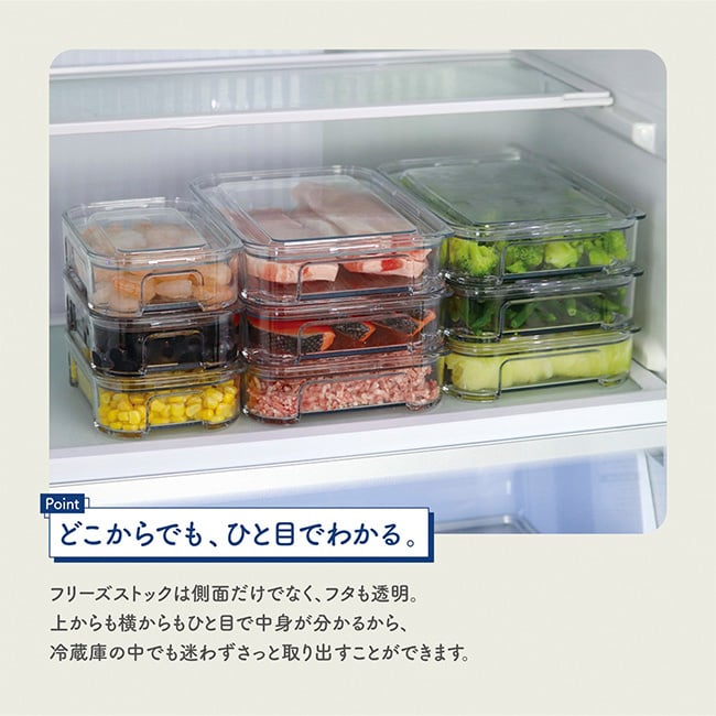 TAKEYA タケヤ FREEZE STOCK フリーズストック M 《2個セット》[保存容器 フードコンテナ 冷凍 クリア 透明 日本製 タケヤ フードストッカー オシャレ 保存 容器 中身が見える 小分け 冷凍容器 プラスチック ケース 薄型 浅型 食品保存]