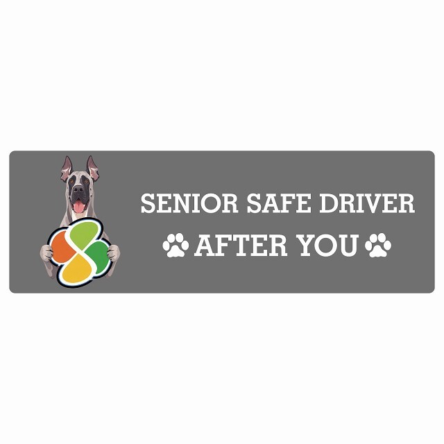 カーサイン 高齢者マーク SENIOR SAFE DRIVER グレートデン ステッカー シール 長方形 15x5cm 肉球 日本製 車