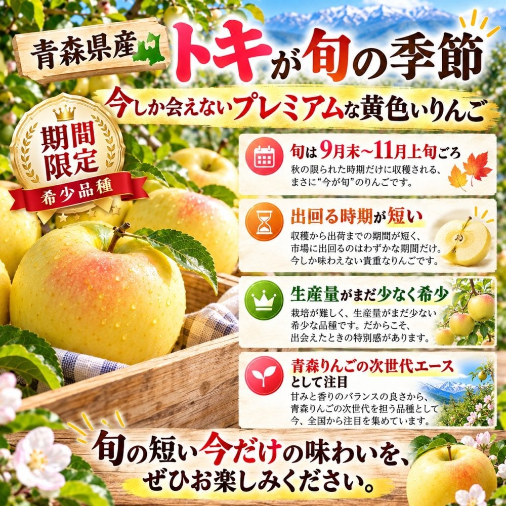 青森県産　りんご　ご家庭用　トキ　９ｋｇ　　送料無料！