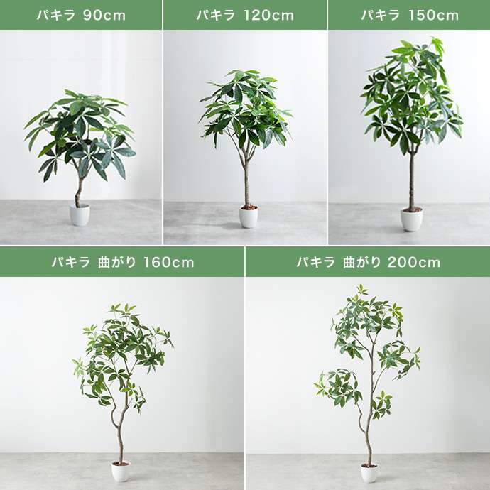 【高さ200cm】光触媒人工観葉植物 ユーカリ 幅70cm×奥行60cm×高さ200cm オフィス 天然木 ポリエステル 組立品 お部屋に気軽に飾れて空間を美しく彩るフェイクグリーン 本物の植物のようなリアルな質感とインテリアに馴染む風合いが魅力です