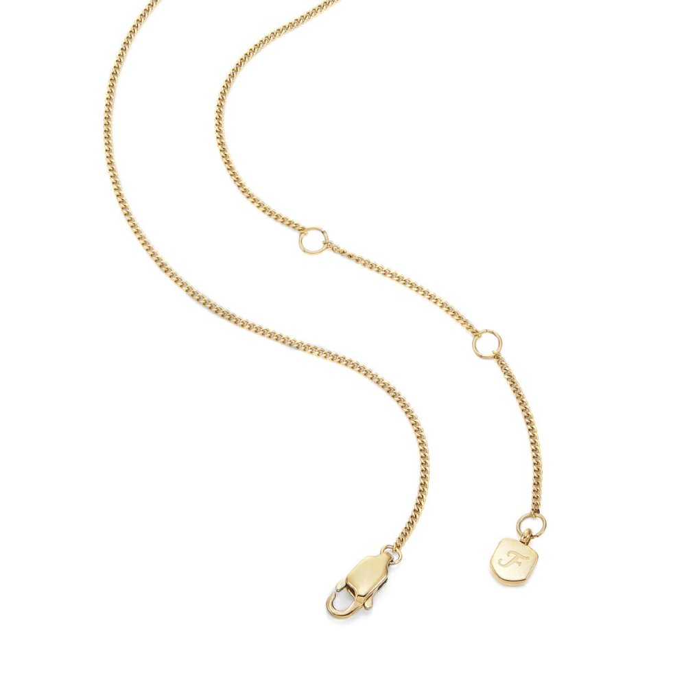フォッシル FOSSIL Sutton アクセサリー ネックレス ペンダント いて座 レディース JF04846710