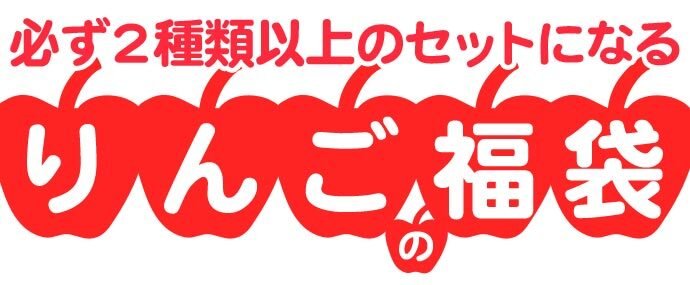 青森りんご 9kg 訳あり 送料無料 福袋 北海道産 青森産 リンゴ ※沖縄は送料別途加算 到着日指定不可