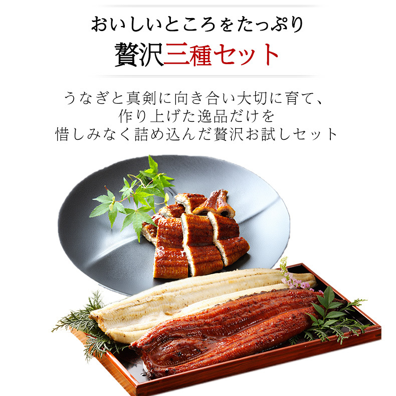ウナギ 国産 ギフト 四万十うなぎ 詰合せ 3種類セット 日本最後の清流、四万十川の恵みで育った自慢のウナギ 【うなぎ/鰻/詰め合わせ/国内産/土用の丑/蒲焼き/素焼き/白焼き/贈答/プレゼント】