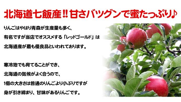 りんご 北海道産 蜜入 レッドゴールド リンゴ 3Kg（約12-18個入）