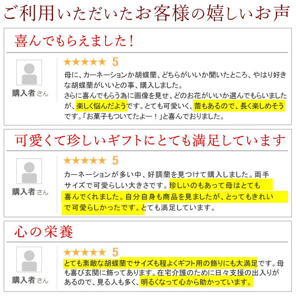 ＼早割！8/31の16時まで／ 敬老の日 ギフト プレゼント 早割 人気 花 生花 蘭 胡蝶蘭 鉢植え ミディ 2.5号 洋蘭園 フラワーギフト バウムクーヘン スイーツ お菓子 洋菓子 花とお菓子 60代 70代 80代 90代 おじいちゃん おばあちゃん 孫 孫から おいもや